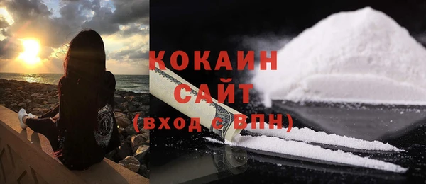 твердый Аркадак