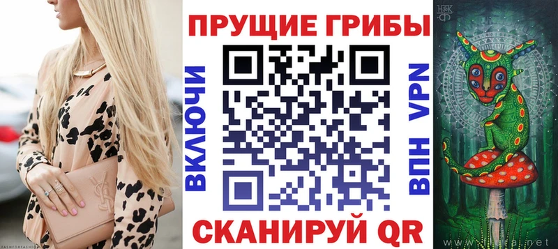 Галлюциногенные грибы прущие грибы  Узловая 